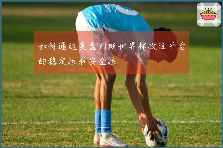 如何通过复盘判断世界杯投注平台的稳定性和安全性