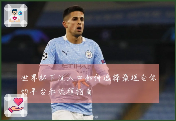 世界杯下注入口如何选择最适合你的平台和流程指南