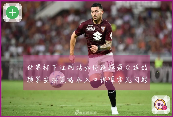 世界杯下注网站如何选择最合适的预算安排策略和入口保障常见问题