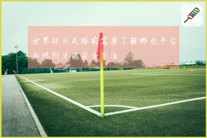世界杯买足球前需要了解哪些平台和规则才能安全下注