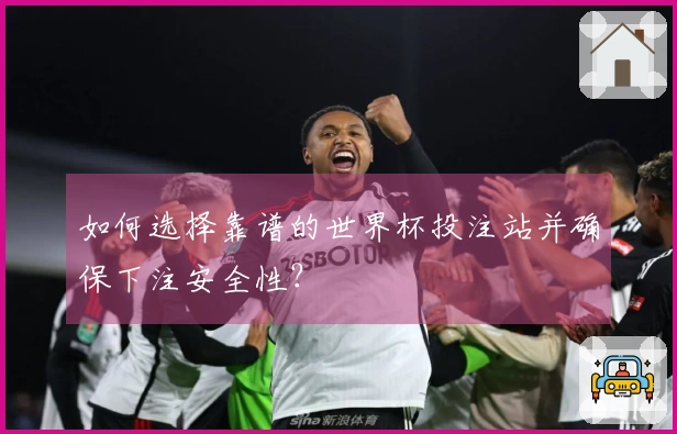 如何选择靠谱的世界杯投注站并确保下注安全性？
