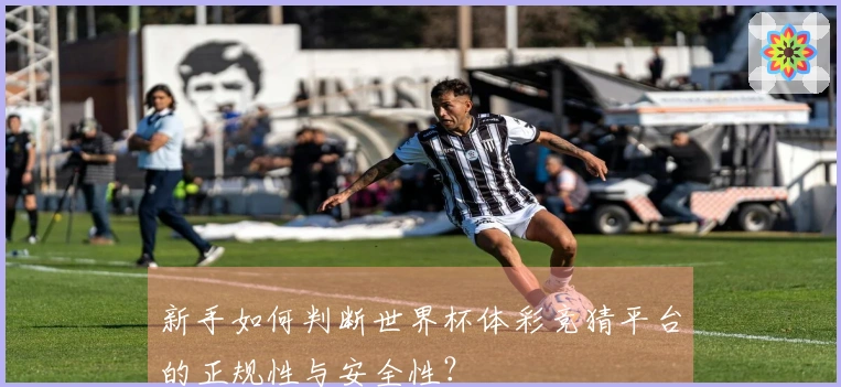 新手如何判断世界杯体彩竞猜平台的正规性与安全性？