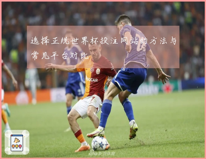 选择正规世界杯投注网站的方法与常见平台对比