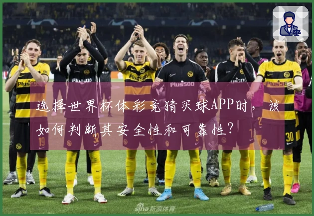 选择世界杯体彩竞猜买球APP时，该如何判断其安全性和可靠性？