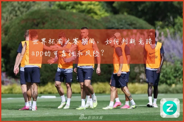 世界杯淘汰赛期间，如何判断竞猜app的可靠性和风险？