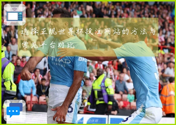 选择正规世界杯投注网站的方法与常见平台对比