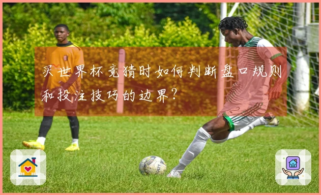 买世界杯竞猜时如何判断盘口规则和投注技巧的边界？