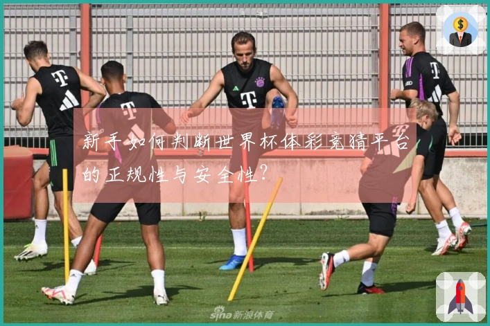 新手如何判断世界杯体彩竞猜平台的正规性与安全性?