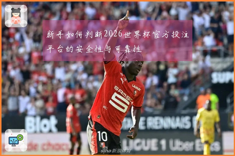 新手如何判断2026世界杯官方投注平台的安全性与可靠性