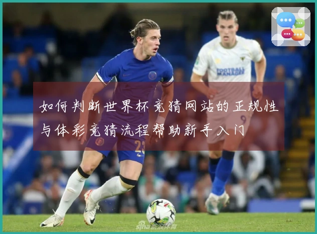 如何判断世界杯竞猜网站的正规性与体彩竞猜流程帮助新手入门