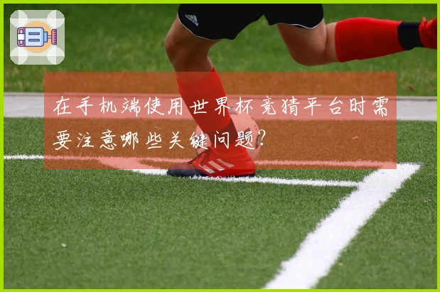 在手机端使用世界杯竞猜平台时需要注意哪些关键问题？