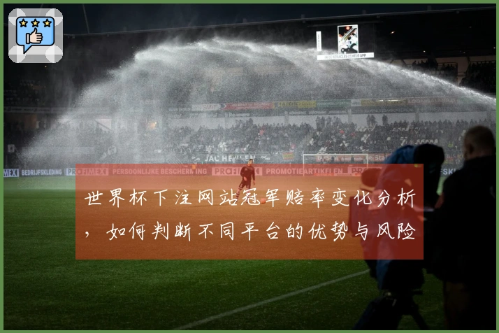 世界杯下注网站冠军赔率变化分析，如何判断不同平台的优势与风险