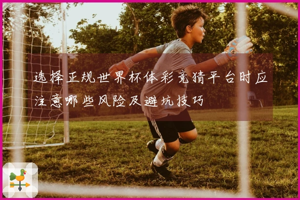 选择正规世界杯体彩竞猜平台时应注意哪些风险及避坑技巧