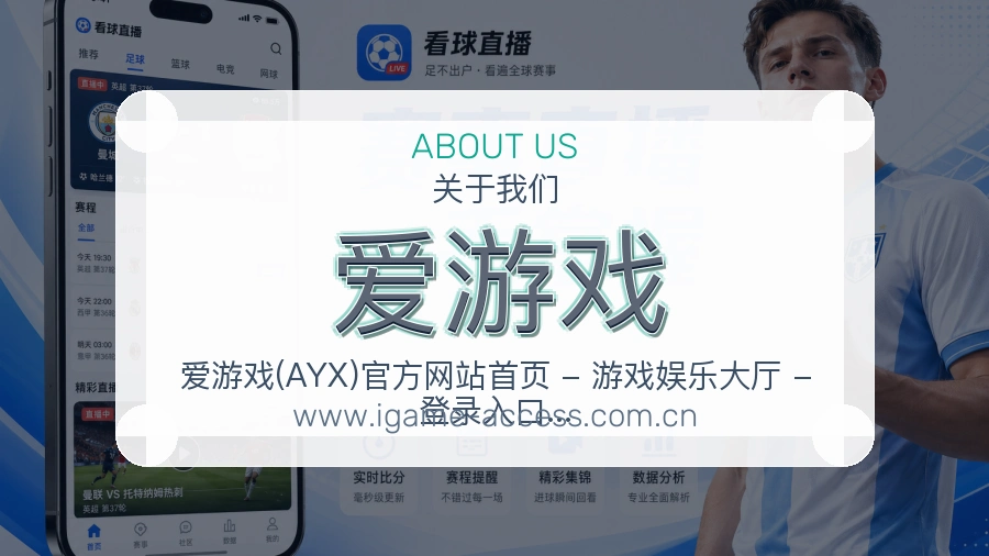<strong>爱游戏</strong>关于服务介绍